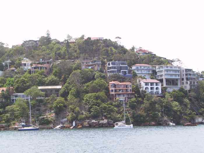 Hillside houses in Sydney Harbour